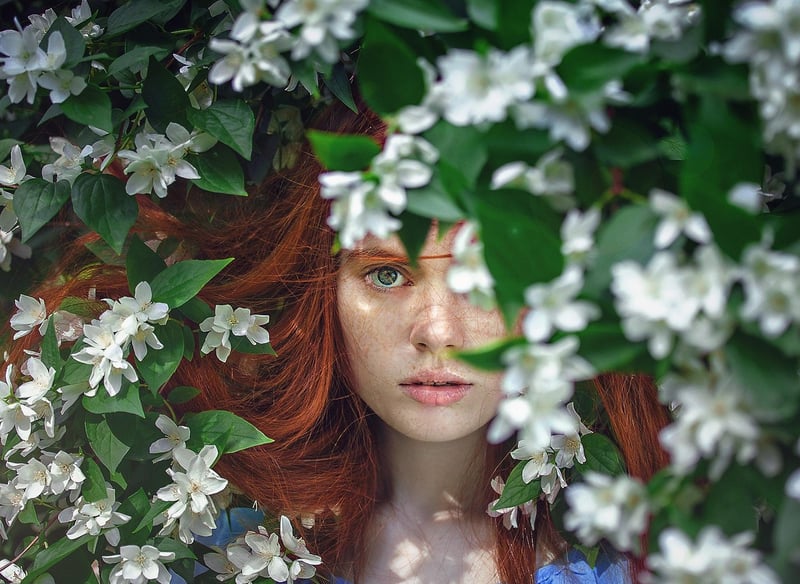 Whimsical Waters